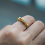 Gull Aether Fidget Ring