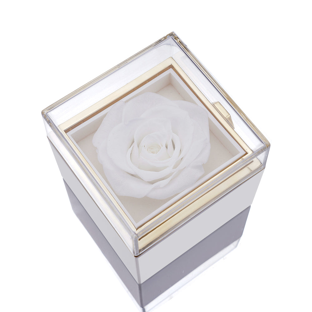 Eternal Rose Box - M/ Projection Ring & Real Rose