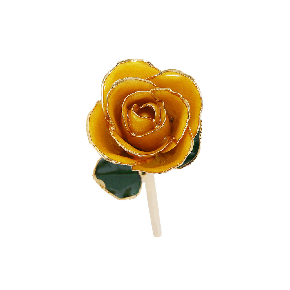 24k Guld Dyppet Rose