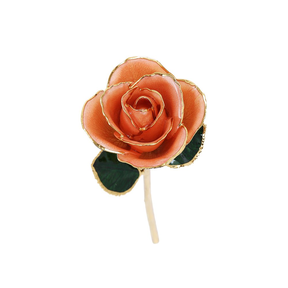 24k Guld Dyppet Rose