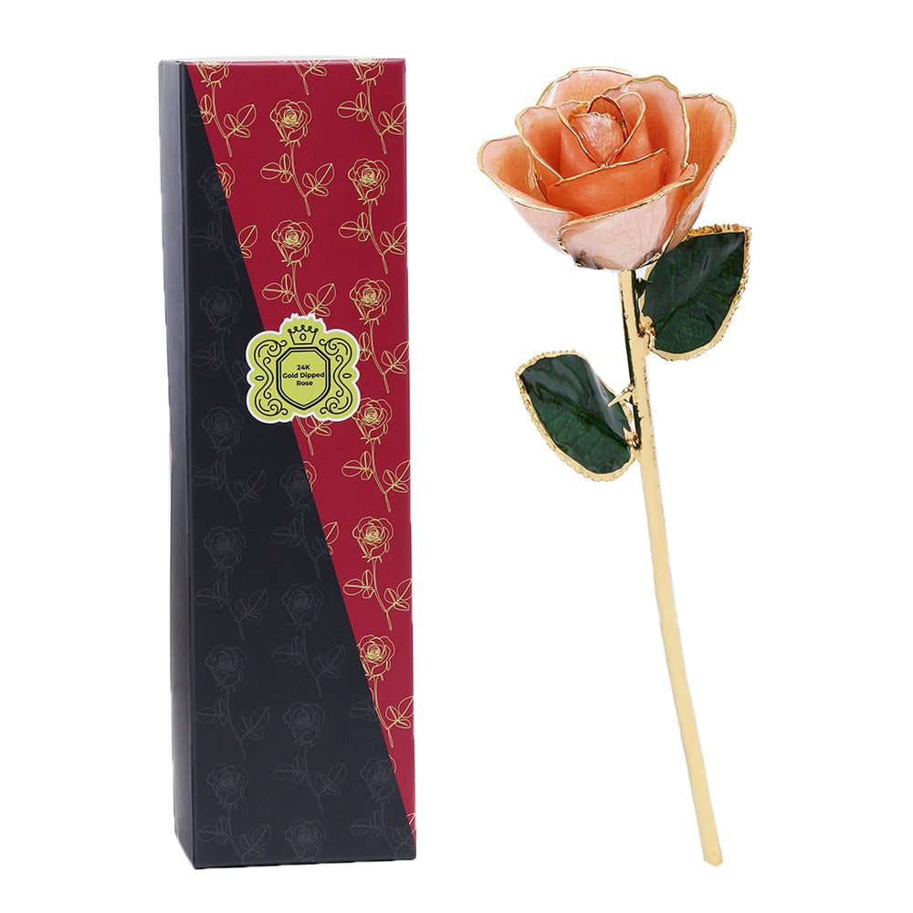 24k Guld Dyppet Rose