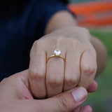 Anello Amalfi