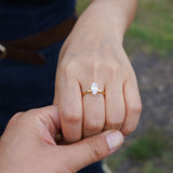 Anillo Milán