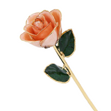 24k Guld Dyppet Rose