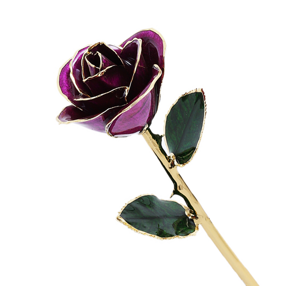 24k Guld Dyppet Rose