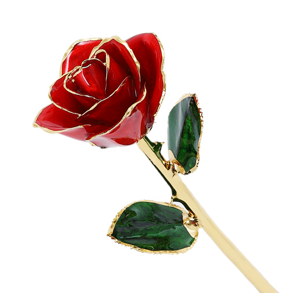 24k Guld Dyppet Rose
