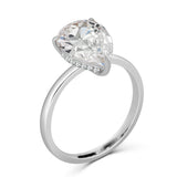 Vienna Ring
