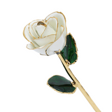 24k Guld Dyppet Rose
